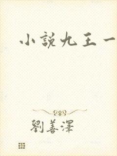 小说九王一后