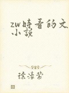 zw时看的文案小说