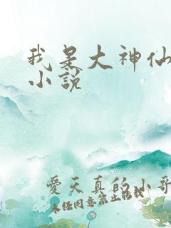 我是大神仙时江小说