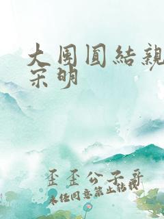 大团圆结亲情会宋明