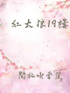 红太狼19楼