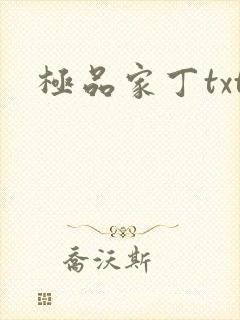 极品家丁txt