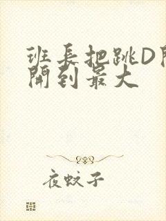 班长把跳D开关开到最大