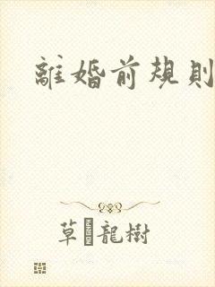 离婚前规则歌曲
