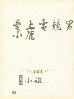 爱上电竞男神林小鹿