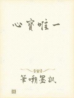 心宝唯一
