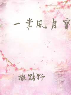 一掌风月宝鉴