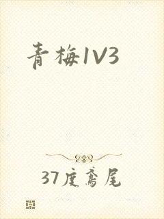 青梅1V3