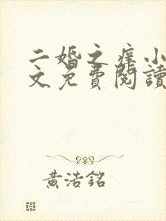 二婚之痒小说全文免费阅读