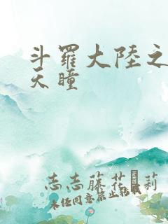 斗罗大陆之轮回天瞳