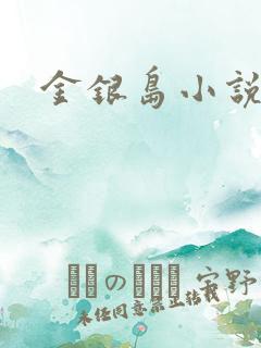 金银岛小说
