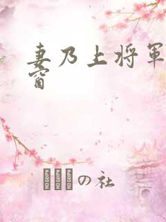 妻乃上将军无弹窗