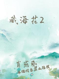 藏海花2