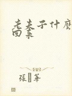 老夫子什么时候回来