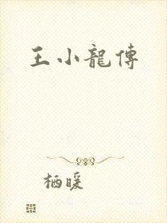 王小龙传