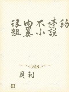 很肉不停的做很粗暴小说