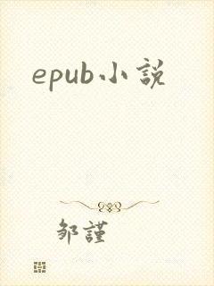 epub小说