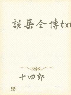说岳全传txt
