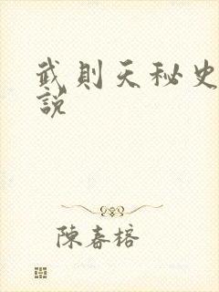 武则天秘史 小说