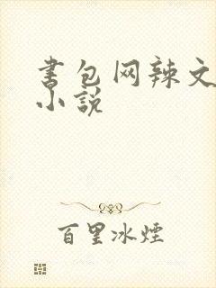 书包网辣文全本小说