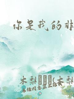 你是我的非卖品