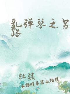 乱弹琴之另一条路