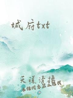 城府txt