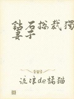 钻石总裁独宠小妻子