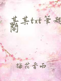 某某txt笔趣阁