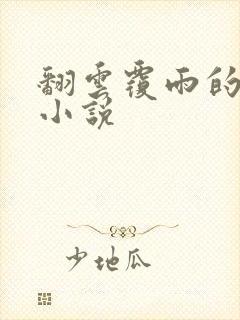 翻云覆雨的秘密小说