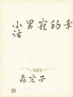 小男宠的幸福生活