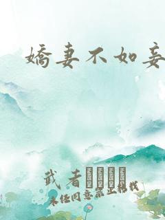 娇妻不如妾