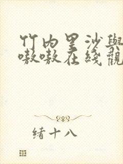 竹内里沙与黑人嗷嗷在线观看