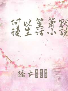 何以笙箫默之婚后生活小说
