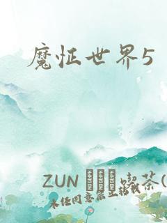 魔怔世界5