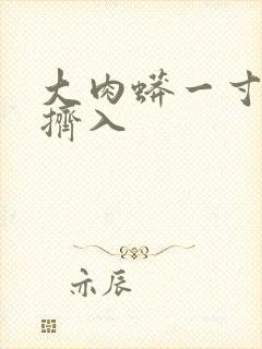 大肉蟒一寸一寸挤入