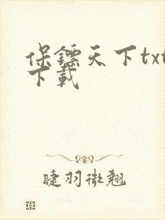 保镖天下txt下载