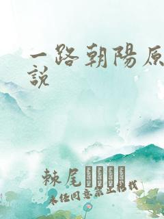 一路朝阳原著小说