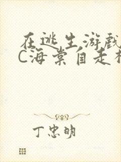 在逃生游戏里挨C海棠自走棋