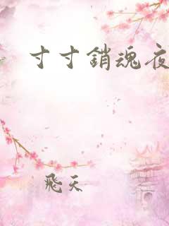 寸寸销魂夜春光