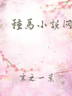 种马小说网