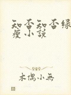 知否知否绿肥红瘦小说