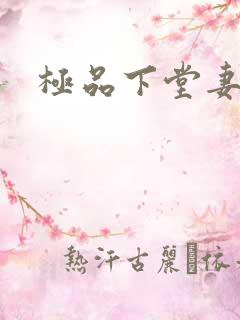 极品下堂妻