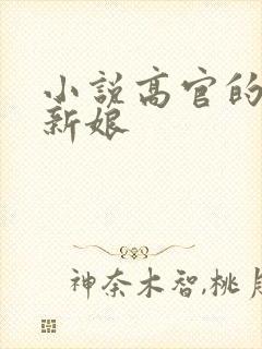 小说高官的暗夜新娘