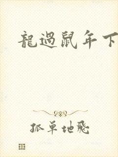 龙过鼠年下载