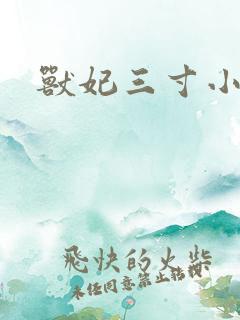 兽妃三寸小狂妻