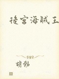 后宫海贼王