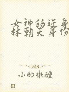 女神的近身护卫林朝天身份