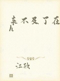 来不及了在车ch