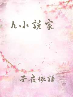 h小说家